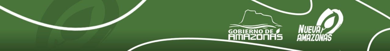 Gobernación del Estado Amazonas – Sitio Web Oficial